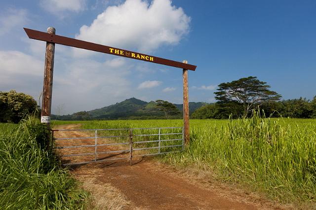 079 Kauai.jpg